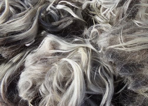 Gray Navajo-Churro Wool