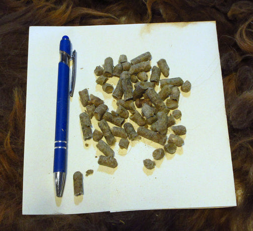 100% Wool Pellets Close Up
