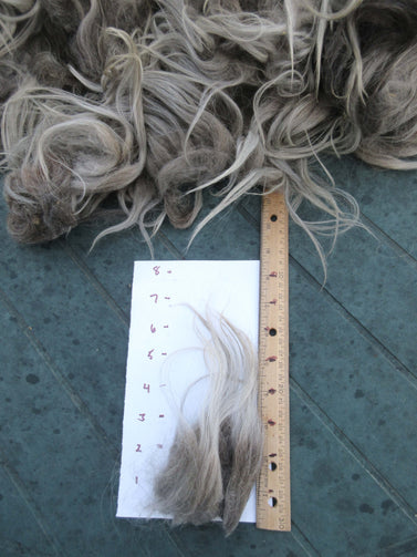 Gray Navajo-Churro Wool