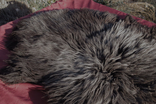 Black Gray Navajo Churro Sheepskin Pelt close up photo