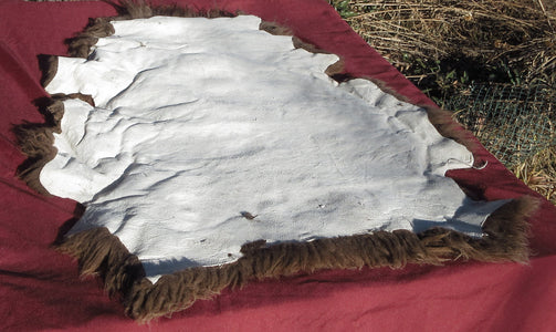 The backside of a brown Navajo-Churro Sheepskin Pelt small hol