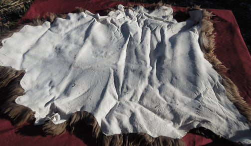 Back side of a brown Navajo Churro Sheepskin Pelt