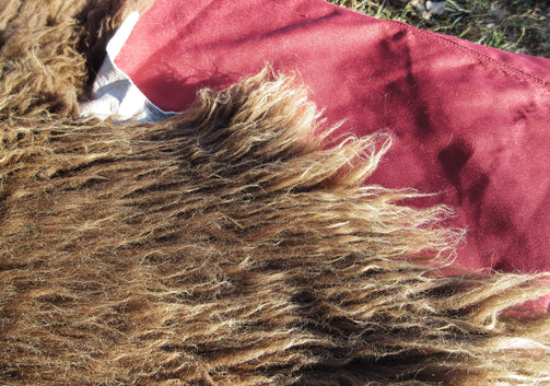 A close up of Brown Navajo Churro Sheepskin Pelt