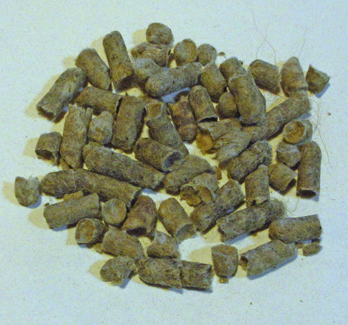 Wool Pellets Close Up