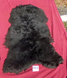 Navajo-Churro Pelt. Color is very dark brown / black.