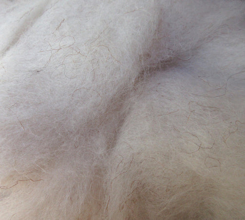 Navajo-Churro Wool - Roving, White with scattered brown fibers.