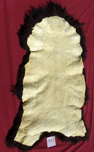 Back side showing no defects. Navajo-Churro Pelt. Color is very dark brown / black.