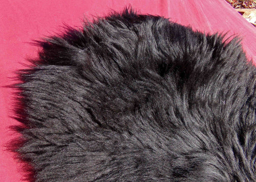 Navajo-Churro Pelt. Color is very dark brown / black. Fiber staple length 4-6 inches.