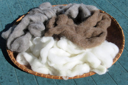 Navajo-Churro Wool Roving