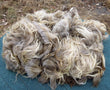 Navajo-Churro Wool Fleece