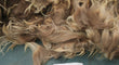Brown Navajo-Churro Wool Fleece