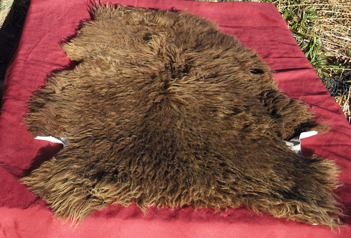 A brown color Navajo Churro Sheepskin Pelt 