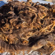 Brown Navajo Churro Wool Fleece Close Up