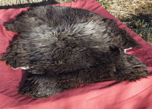 A Navajo Churro Sheepskin Pelt Black with white highlighs