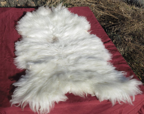 A soft bright white Navajo Churro sheepskin pelt.